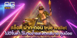 สล็อต ฝาก-ถอน true wallet ไม่มีขั้นต่ำ ใช้งานง่ายสะดวกสบาย ทุนน้อย